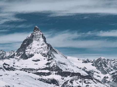 FranchiseCHECK_de giphygifmaker work business franchise GIF