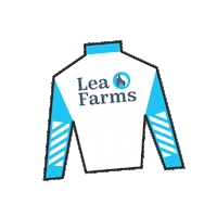 Horse Racing Sticker by Kentucky Derby