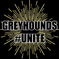 Unite Greyhounds GIF by University of Indianapolis