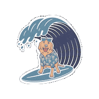 San Diego Indy Sticker by Everyday California