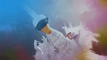 Swan Waving GIF by The Masked Singer