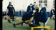 Go Blue College Football GIF by Michigan Athletics