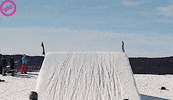bro GIF