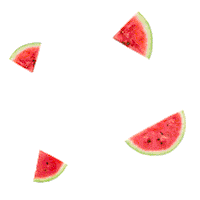 Watermelon Summerdrink Sticker by Ty Ling