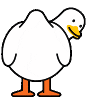 museLIVE duck sway quabbleduck quabble Sticker