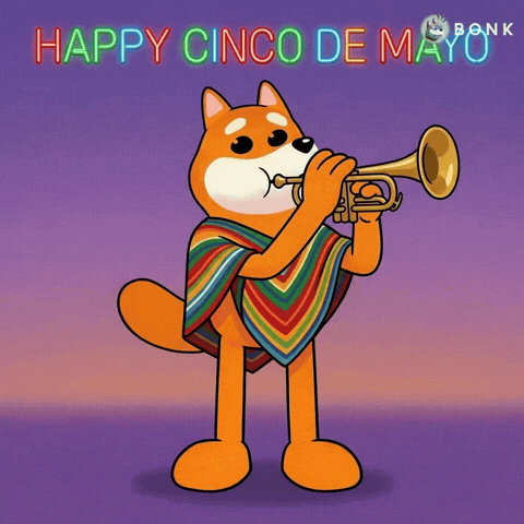 Cinco De Mayo Poncho GIF by BONK