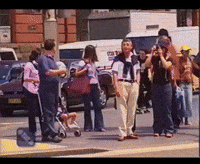 Bam Margera Skateboard 411 Vm Element GIF by Brett A Mauri