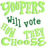 Voting Rights Sticker by Creative Courage