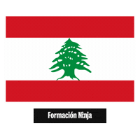 Lebanon Flag Sticker by Formación Ninja