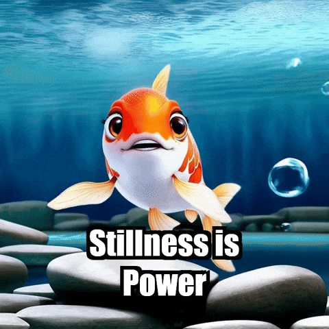 Wisdom Stillness GIF by TheConfishius