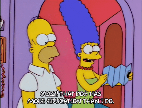 homer simpson episode 20 GIF