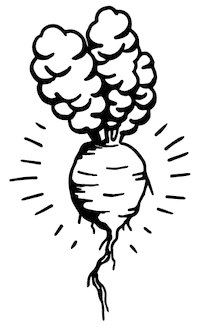 Root Beetroot Sticker by OHNI