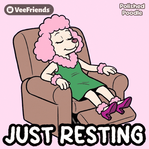 Dog Sleeping GIF by VeeFriends