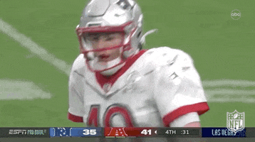 National Football League GIF by NFL