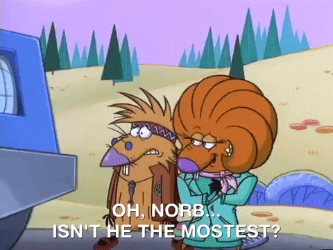 nickrewind giphydvr nicksplat angry beavers giphyab017 GIF