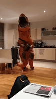 Irish Musician Dons T-Rex Costume for 'Virtual' St Patrick's Day Parade