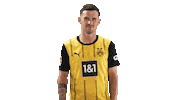Borussia Dortmund Thumbs Up Sticker by Bundesliga