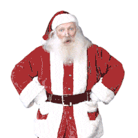 Ville_Angers christmas what wtf santa Sticker