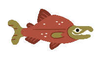 nepeteaa fish fishing folk cm Sticker