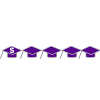 Sternie Sticker by NYU Stern