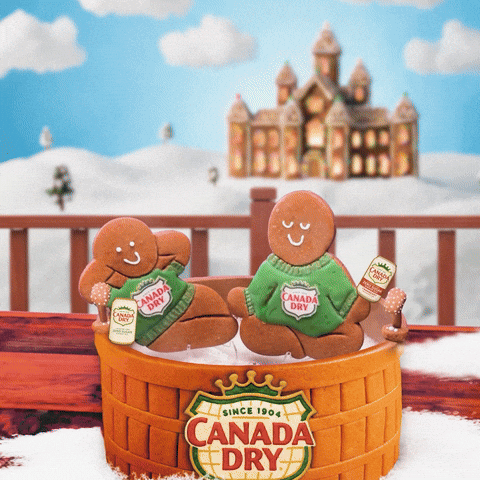 Whats Fizzin GIF by Canada Dry Ginger Ale