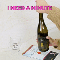 LeahVanDale cheers wine drinks salute GIF