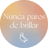 canarioshop swipe up shine joyeria new arrivals Sticker