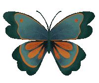 Fly Butterfly Sticker