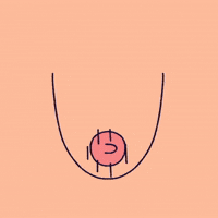 Animation Nip GIF