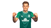 Go Team Yes Sticker by SV Werder Bremen