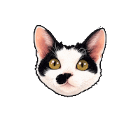 Scared Devon Rex Sticker