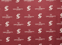 Go Broncos GIF by Santa Clara Broncos