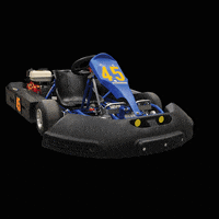 circuitparkberghem racing kart karting karten GIF