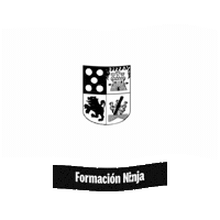 Pais Vasco Flag Sticker by Formación Ninja