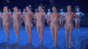 GIF by Tony Awards