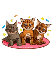 Cat Котенок Sticker by VIPLEO® is the cattery founder of legal caracats.