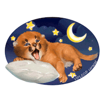Cat Котенок Sticker by VIPLEO® is the cattery founder of legal caracats.