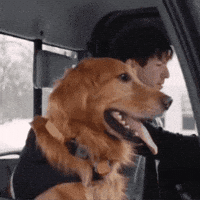 Twenty One Pilots Dog GIF