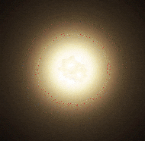 Cat Kitty GIF by sillynub