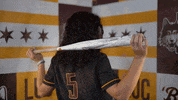 Loyola Softball GIF by LoyolaRamblers