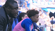 Football Soccer GIF by FC Schalke 04
