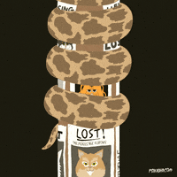 Cat Fox GIF by Animation Domination High-Def