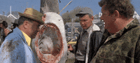 jaws GIF by hero0fwar