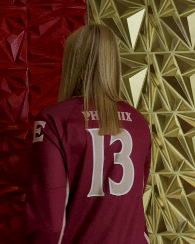 Elon Volleyball GIF by Elon Phoenix