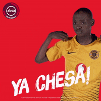 south african soccer GIF