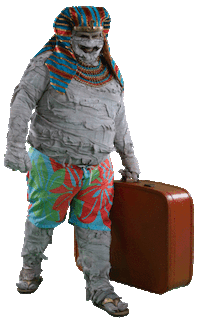 vacaciones turismo Sticker