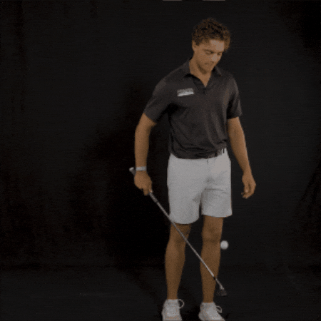 Fort Wayne Golf GIF by Purdue Fort Wayne Athletics