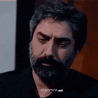 Polat Alemdar Depression GIF by Hamzah