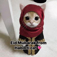 Eid Al Fitr Islam GIF