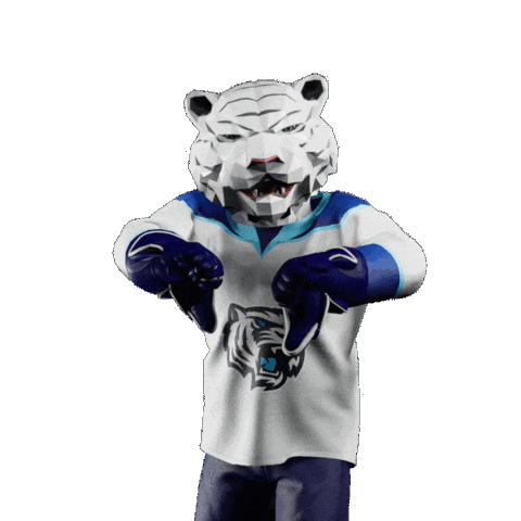 Hockey Hokej Sticker by Tipsport extraliga